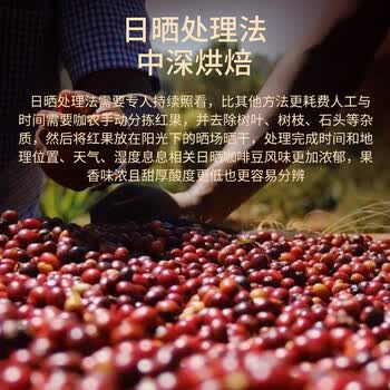 LUJIAZUI鹿家嘴埃塞西达摩精品意式浓缩咖啡豆美式中深烘焙醇厚丝滑454g