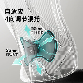 黑白调P1人体工学椅电脑椅子人工力学座椅久坐办公椅电竞椅学习椅高配 黑白调P1人体工学椅电脑椅子人工力学座椅久坐办公椅电竞椅学习椅高配