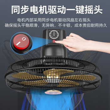 皓彩（haoluck）工业风扇超大风力落地扇强力牛角扇立式商用工厂工业扇车间家用 20吋五档 金色铝5叶