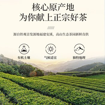 一杯香茶叶乌龙茶铁观音安溪特级清香型250g新茶礼盒装送礼自己喝自饮 一杯香茶叶乌龙茶铁观音安溪特级清香型250g新茶礼盒装送礼自己喝自饮