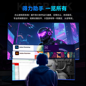 金百达（KINGBANK）64GB(32GBX2)套装 DDR4 3600 台式机内存条海力士原装CJR颗粒 银爵 C18