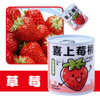 Touch Fish 小学生手工DIY小盆栽材料罐装易拉罐头桌面植物科学实验礼物奖品 喜上莓梢（草莓）