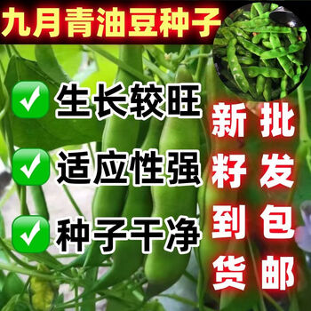 油豆角5公斤 O1CN01WRc9sK2BQ6ihTwICz_!!