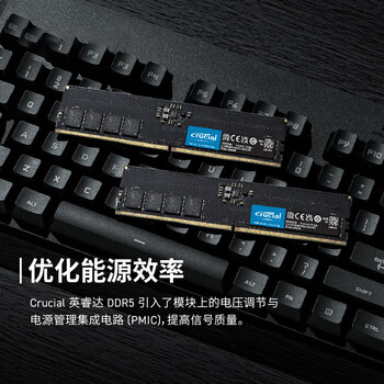 Crucial英睿达 32GB（16GB×2）套装 DDR5 5600频率 台式机内存条 美光（原镁光）原厂颗粒