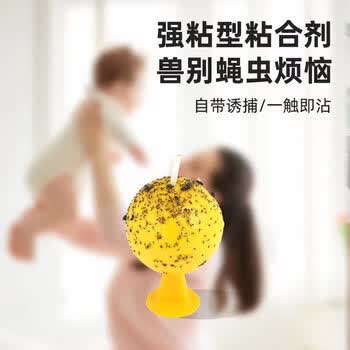 COODORA果蝇小飞虫诱捕器室内外家用粘虫球灭虫神器5个球+底座+双面胶