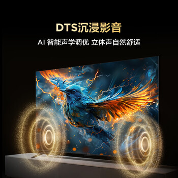 TCL雷鸟电视 43雀5 25款 43英寸 144Hz高刷 2+32GB内存 自定义遥控器 家电电视43F295C