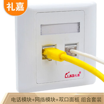 礼嘉（LIJIA）LJ-MB088 电话RJ11语音模块+RJ45超五类网络镀金模块+86型双口面板 模块面板工程布线组合套装