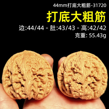 文玩核桃 48尺大粗筋狮子头 大粗筋狮子头价格报价行情- 京东