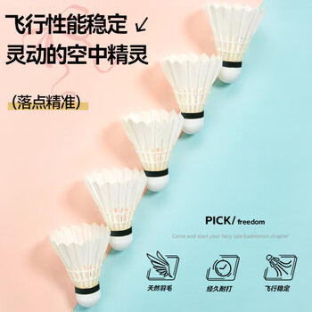 川崎（KAWASAKI）羽毛球稳定耐打比赛训练专用鹅毛球在逃公主7号12只装