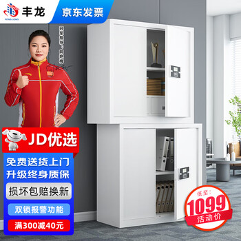 丰龙保密柜文件柜智能密码锁档案柜办公资料铁皮柜凭证柜分双节带抽