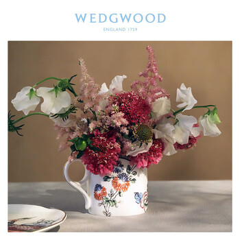 Wedgwood幸运彩雀马克杯
