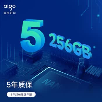 爱国者（aigo）256GB SSD固态硬盘 M.2接口NVMe协议 PCIe3.0高性能主控 台式机笔记本通用P3000 读速3000MB/s