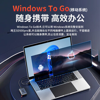 飚王（SSK）移动固态硬盘SD500 Pro 1TB Type-C接口 min硬盘 便携PSSD外接大容量高速