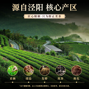 七春泾阳茯茶叶陕西官茶西安特产2020陈高档金花黑茶500g毕业教师礼物