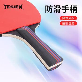 特斯恩（TESIEN） 乒乓球拍 星级球拍专业球拍乒乓球拍短柄236mm TSN-P01