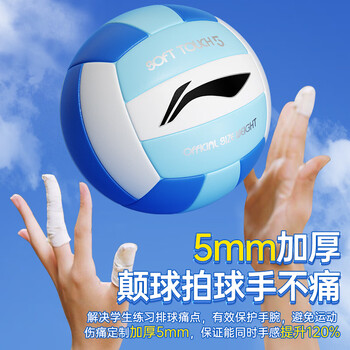 李宁（LI-NING）排球【中考训练】比赛专用标准初中生成人儿童训练沙滩硬排5号球