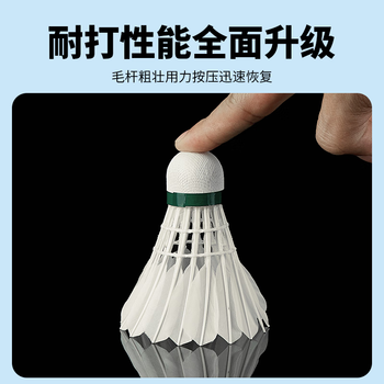 薰风（KUMPOO）日常娱乐训练用球熏风鹅毛羽毛球  红薰66一筒12个装(77速)