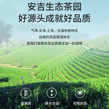 一杯香茶叶绿茶正宗安吉明前白茶200g新茶礼盒装送礼自己喝散装茗茶