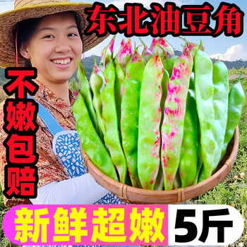 速冻油豆角价格报价行情- 京东
