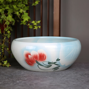 大水缸养金鱼品牌及商品- 京东