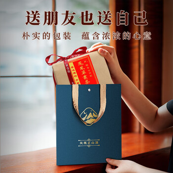 正山顶乌龙茶凤凰单枞蜜兰香一级500g纸包实惠口粮单丛茶自己喝