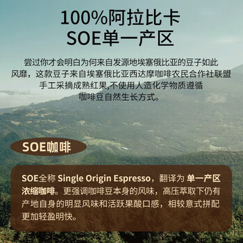 LUJIAZUI鹿家嘴埃塞西达摩精品意式浓缩咖啡豆美式中深烘焙醇厚丝滑454g