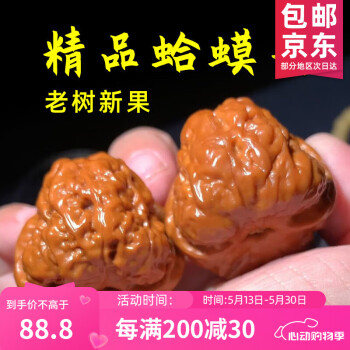 文玩核桃中常见的两种蛤蟆头了解下- 知乎
