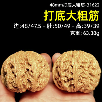 大粗筋狮子头 42尺 大粗筋狮子头价格报价行情- 京东
