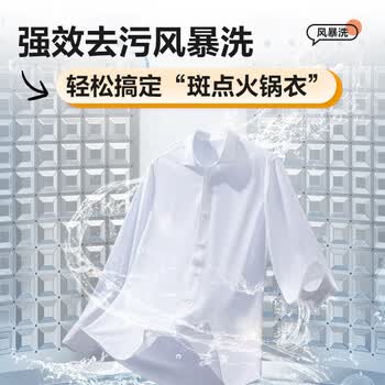 统帅（Leader）海尔出品波轮洗衣机全自动京东自营 10公斤家用 抗菌除螨 家电补贴@B100M958
