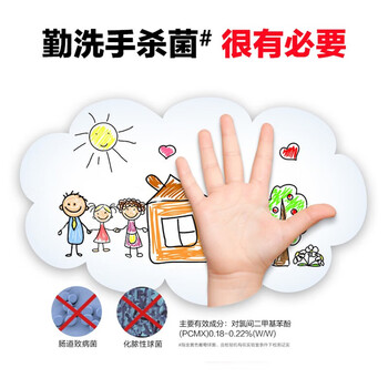 威露士温和易冲洗成人儿童家庭通用泡沫抑菌洗手液青柠盈润300ml