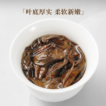 七春白茶龙珠 老白茶福鼎2021年贡眉500g茶叶可加陈皮白茶袋装口粮