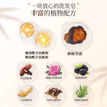 长白工坊 黄柏清爽洗发皂 桦树茸养发皂组合 110g*2