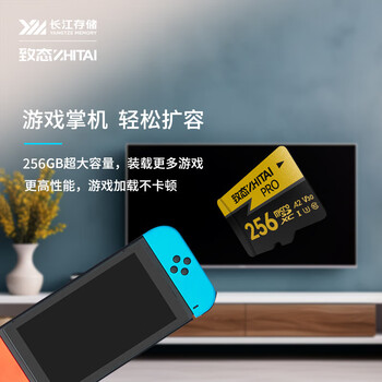 致态（ZhiTai）长江存储 256GB TF（MicroSD）存储卡 U3 V30 A2 PRO专业高速存储卡 读速170MB/s