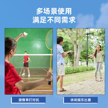 安格耐特得力FH100铁分体羽毛球拍-2支/副 羽毛球拍