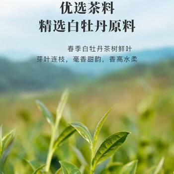 八马茶业 白牡丹 福鼎白茶 茶香高扬 汤顺水甜 鲜爽甘甜 白牡丹357克