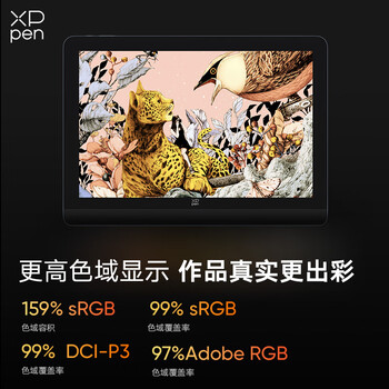 XPPen Artist Pro 16(Gen2) 数位屏 电脑绘画专业手绘屏 数位板 手写板连电脑画板手绘板绘画板