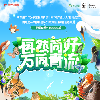 洁芙柔环保洗手液泡沫抑菌杀菌消毒补充装200mL*2配星尘曜石黑陶瓷瓶