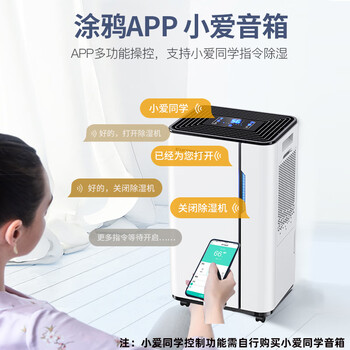 欧井（Eurgeen）除湿机/抽湿机 除湿量20升/天 适用面积40㎡ 家用地下室轻音净化干衣吸湿器 OJ-231E