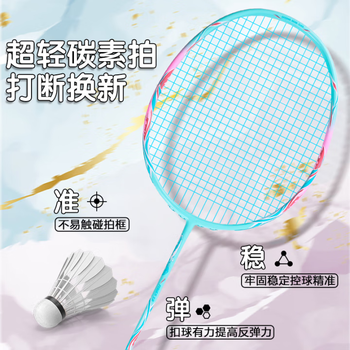 战羽羽毛球拍双拍4U超轻复合碳素纤维初学者男女学生训练比赛耐打套装