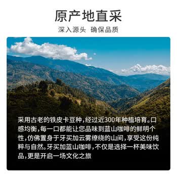 JBeM牙买加蓝山咖啡豆精选蓝山一号生豆新鲜中度烘焙黑咖啡200g礼盒装