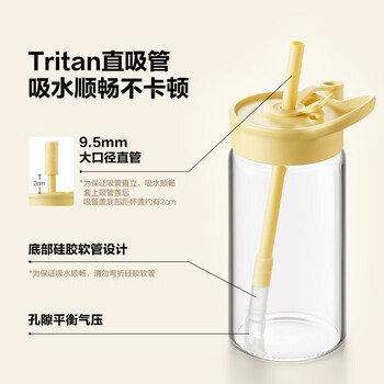北鼎（Buydeem）吸管杯玻璃杯 高颜值大容量水杯便携冷饮杯送礼杯