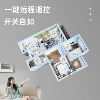 佰达特 遥控开关无线远程智能插座灯具电源控制器220v水泵免布线多路家用一控一路（2个）