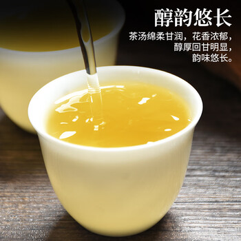 印象堂 特级原产铁观音500g2025新茶清香型精美袋装乌龙茶礼品自己喝 印象堂 特级原产铁观音500g2025新茶清香型精美袋装乌龙茶礼品自己喝