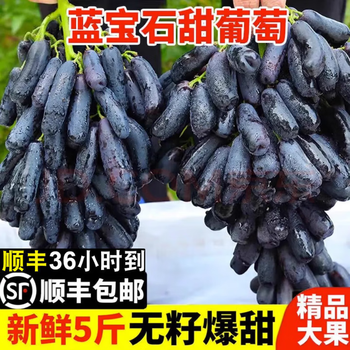業者激安直販+冷蔵発送　豪州産約9kg 幻の葡萄　黒葡萄 手指葡萄　蓝宝石 8af1e856fca4be91af5de95c0944f3