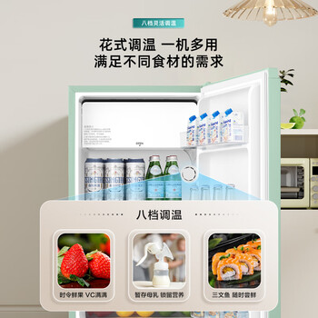 海信（Hisense）95升小型冰柜家用立式冰柜冷藏柜办公室冰吧厅吧 一级能效出租房酒店小型冰箱 复古罗马绿 BC-95BQ