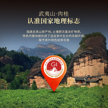 七春茶叶礼盒武夷山肉桂500g花香正岩茶礼盒装 节日送老丈人长辈礼品