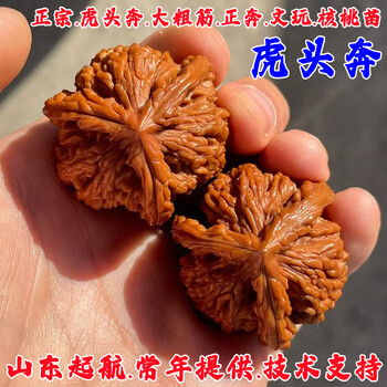 東京文玩育成】文玩核桃 麦穂虎頭 【公式通販】