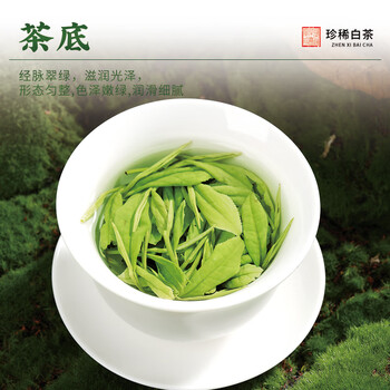 茶满纪 安吉珍稀白茶白叶一号明前2025新茶叶口粮茶散装250g茶叶自己喝