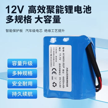 正鑫远 大容量智能小车充电锂电池组LED灯带小风扇酒吧灯 6节12V3600mAh带2A充电器