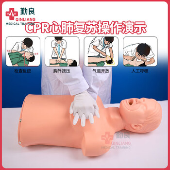 勤良成人气道哽梗塞急救训练模拟人海姆立克急救训练模型气管异物咔喉阻塞自救教学模型假人QL/J145